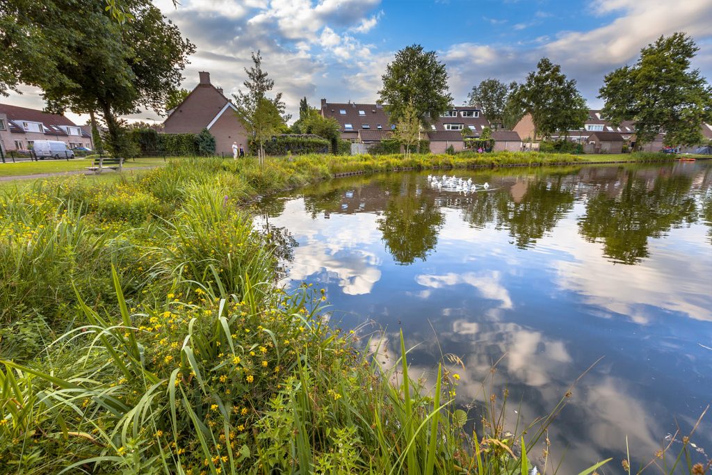 Woonwijk omgeven door natuur en water.